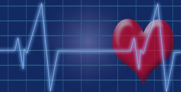 Extremadamente importante Inocente sufrir Bradicardia o cuando el corazón late muy lento – Salud y Medicina